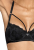 Padded bra black Gaila M-0129/22